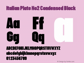 Italian Plate No2 Condensed Black Version 1.1图片样张