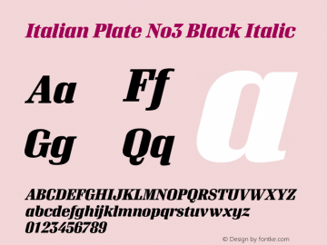 ItalianPlateNo3-BlackItalic Version 1.1图片样张