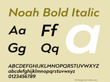 Noah Bold Italic Version 1.000图片样张