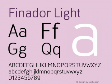 Finador Light Version 1.000;PS 001.000;hotconv 1.0.88;makeotf.lib2.5.64775;YWFTv17 Font Sample