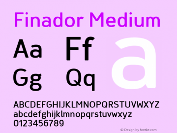 Finador Medium Version 1.000;PS 001.000;hotconv 1.0.88;makeotf.lib2.5.64775;YWFTv17 Font Sample