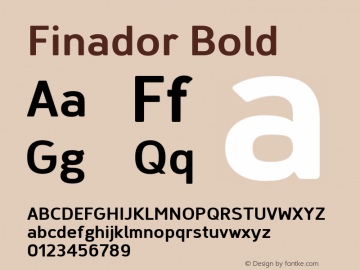 Finador Bold Version 1.000;PS 001.000;hotconv 1.0.88;makeotf.lib2.5.64775;YWFTv17 Font Sample