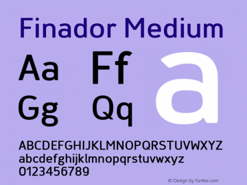 Finador-Medium Version 1.000;PS 001.000;hotconv 1.0.88;makeotf.lib2.5.64775;YWFTv17 Font Sample