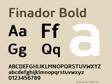 Finador-Bold Version 1.000;PS 001.000;hotconv 1.0.88;makeotf.lib2.5.64775;YWFTv17 Font Sample