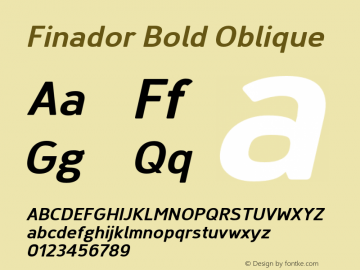 Finador-BoldOblique Version 1.000;PS 001.000;hotconv 1.0.88;makeotf.lib2.5.64775;YWFTv17 Font Sample