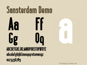 Sansterdam Demo Version 1.009;Fontself Maker 3.0.0-3图片样张