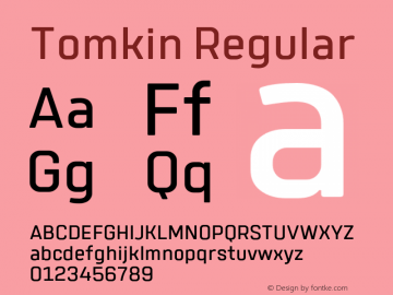 Tomkin-Regular Version 1.000;YWFTv17 Font Sample