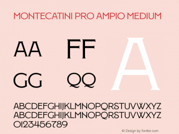 MontecatiniPro-AmpioMedium Version 1.020;PS 001.020;hotconv 1.0.88;makeotf.lib2.5.64775图片样张
