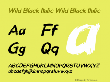 Wild Black Italic Version 1.000图片样张