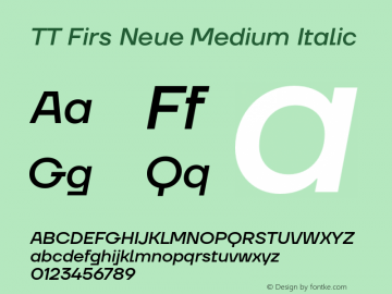 TTFirsNeue-MediumItalic Version 1.000 Font Sample