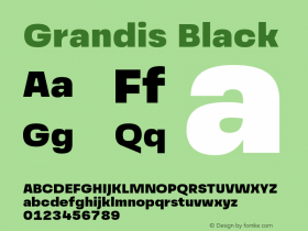 Grandis-Black Version 1.000 | wf-rip DC20190510图片样张