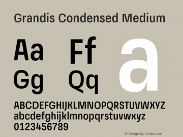 GrandisCondensed-Medium Version 1.000 | wf-rip DC20190510图片样张