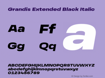 GrandisExtended-BlackItalic Version 1.000 | wf-rip DC20190510 Font Sample