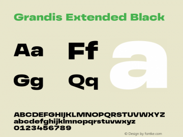 GrandisExtended-Black Version 1.000 | wf-rip DC20190510图片样张