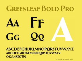 Greenleaf Bold Pro Version 1.000 | wf-rip DC20190510图片样张