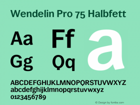 WendelinPro-Halbfett Version 3.003 Font Sample
