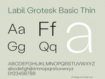 Labil Grotesk Basic Thin Version 1.300 Font Sample