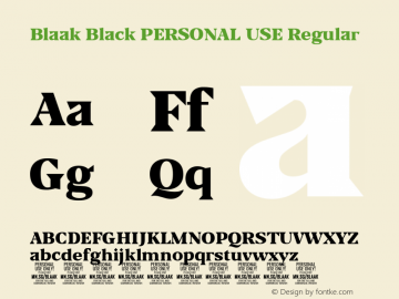 Blaak Black PERSONAL USE Version 2.000图片样张