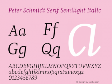 Peter Schmidt Serif SLight Italic Version 1.019;PS 1.19;hotconv 1.0.88;makeotf.lib2.5.647800 Font Sample