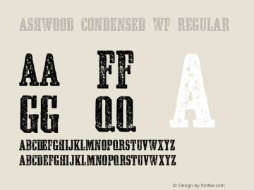 Ashwood Condensed WF Version 2.000图片样张