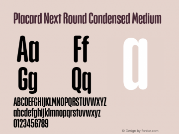 Placard Next Round Cn Medium Version 1.00, build 21, s3 Font Sample