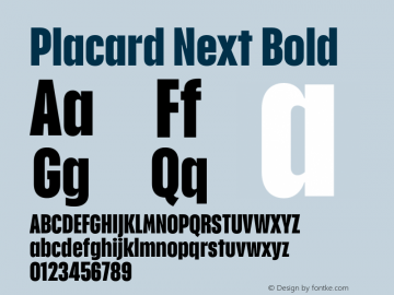 Placard Next Bold Version 1.10, build 16, s3图片样张