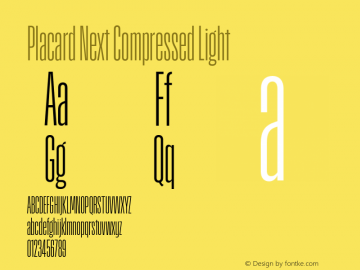 Placard Next Comp Light Version 1.10, build 16, s3图片样张