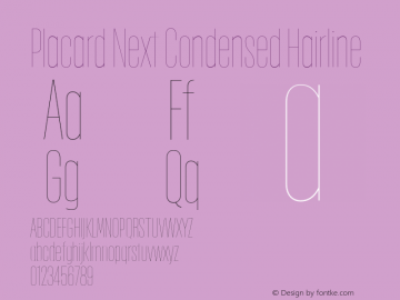 Placard Next Cond Hairline Version 1.10, build 16, s3图片样张