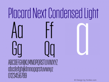 Placard Next Cond Light Version 1.10, build 16, s3图片样张