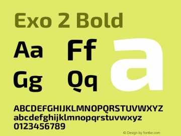 Exo 2 Bold Version 1.001;PS 001.001;hotconv 1.0.88;makeotf.lib2.5.64775 Font Sample