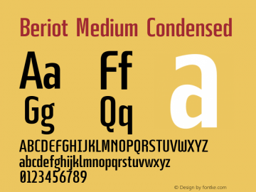 Beriot Medium Condensed Version 1.000;hotconv 1.0.109;makeotfexe 2.5.65596;YWFTv17图片样张