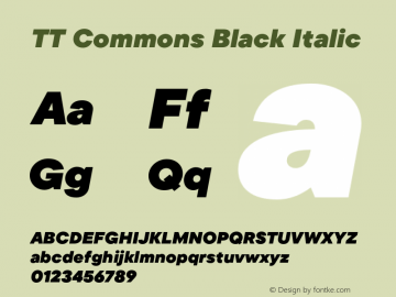 TTCommons-BlackItalic Version 2.000 Font Sample