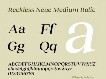 Reckless Neue Medium Italic Version 1.004;hotconv 1.0.109;makeotfexe 2.5.65596图片样张