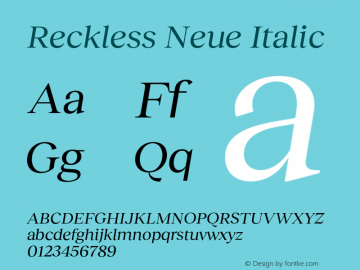 Reckless Neue Regular Italic Version 1.004;hotconv 1.0.109;makeotfexe 2.5.65596图片样张