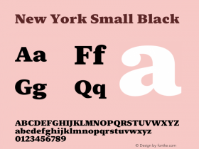 New York Small Black Version 15.0d3e31图片样张