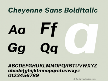 Cheyenne Sans BoldItalic Version 1.00;March 29, 2019;FontCreator 11.5.0.2425 64-bit Font Sample