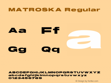 MATROSKA Version 1.00;June 16, 2019;图片样张