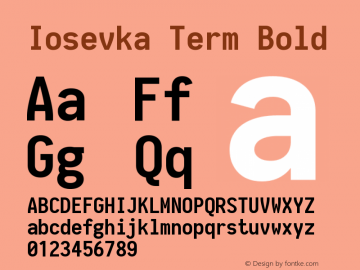 Iosevka Term Bold 1.14.2图片样张