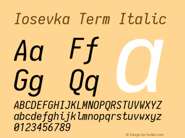 Iosevka Term Italic 1.14.2图片样张