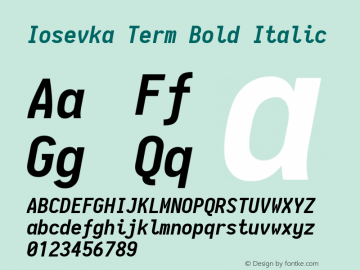 Iosevka Term Bold Italic 1.14.3; ttfautohint (v1.7.9-c794)图片样张