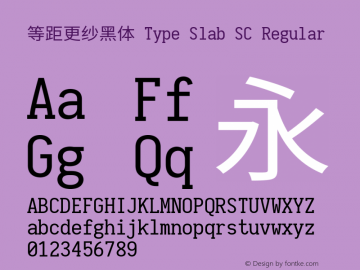 等距更纱黑体 Type Slab SC Regular  Font Sample