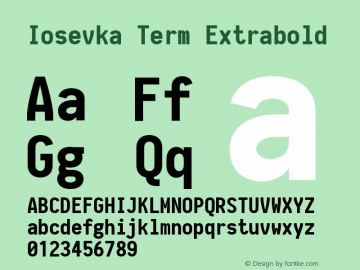 Iosevka Term Extrabold 2.2.1图片样张