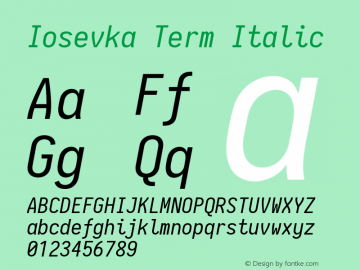 Iosevka Term Italic 2.2.1图片样张