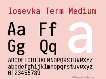 Iosevka Term Medium 2.2.1图片样张