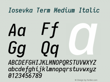 Iosevka Term Medium Italic 2.2.1图片样张