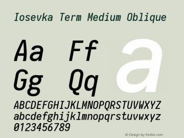 Iosevka Term Medium Oblique 2.2.1图片样张