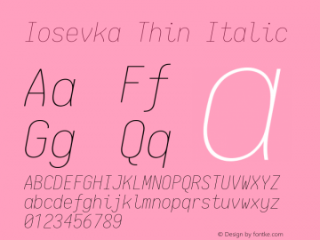 Iosevka Thin Italic 2.2.1 Font Sample