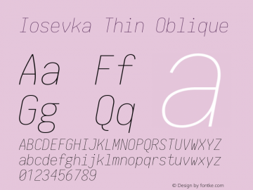 Iosevka Thin Oblique 2.2.1 Font Sample