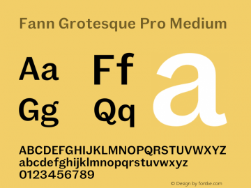 Fann Grotesque Pro Medium Version 1.002 Font Sample