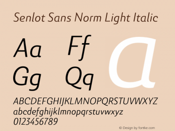 SenlotSansNorm-LightItalic Version 1.000图片样张